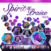 Spirit of praise, vol. 6 cover image