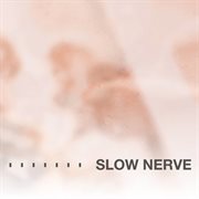 Slow nerve cover image