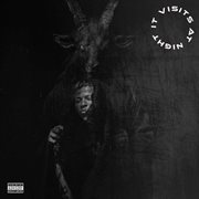 IT VISITS AT NIGHT (IVAN) cover image