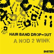 A nod 2 wink cover image