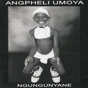 Ngungunyane cover image