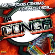 Las mejores cumbias con acordeon cover image