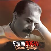 Çoban Yıldızı cover image