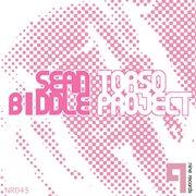 Torso project cover image