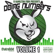 Doing numbers, vol. 1 cover image