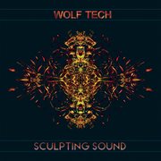Sculpting sound cover image