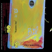 _day wasting_ cover image