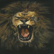 The ghost and the darkness cover image