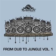 From dub to jungle, vol. 1 cover image