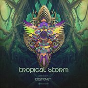 Tropical storm cover image