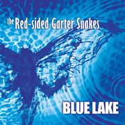 Blue lake cover image