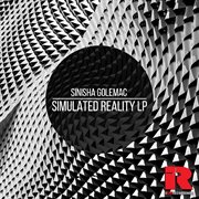Simulated reality cover image