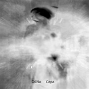 Cepa cover image