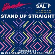 Stand up straight cover image