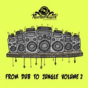 From dub to jungle, vol. 2 cover image