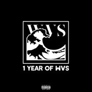 1 year of wvs cover image