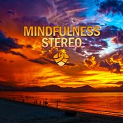 Mindfulness stereo, vol. 3 cover image