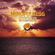 Mindfulness stereo, vol. 8 cover image