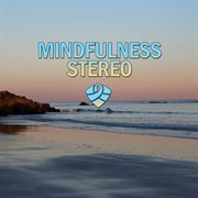 Mindfulness stereo, vol. 11 cover image
