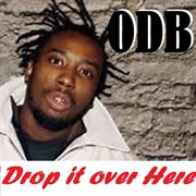 Drop it over here cover image
