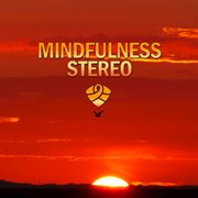 Mindfulness stereo, vol. 9 cover image