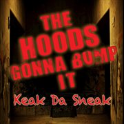 The hoods gonna bump it cover image