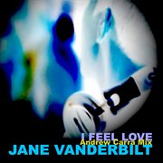 I feel love (remix) cover image