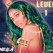 Level 1 cover image