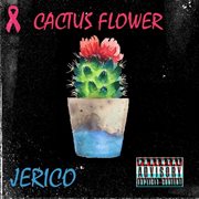 Cactus flower cover image