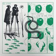 On a prairie live in the dirt cover image