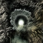 Ossuary light cover image