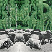 Fatal glitch cover image