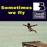 Sometimes we fly cover image