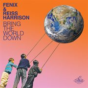 Bring the world down (remixes) cover image