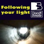 Following your light cover image