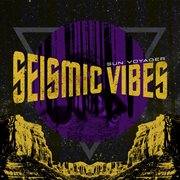 Seismic vibes cover image
