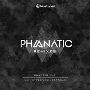 The remixes cover image