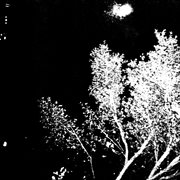 Soundtracks for invisibility, vol. iv: photo of a painting cover image