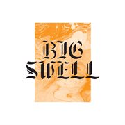 Big swell, vol. 2 cover image