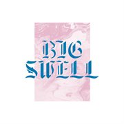 Big swell, vol. 1 cover image