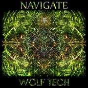 Navigate cover image