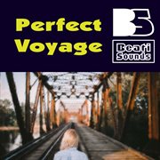 Perfect voyage cover image