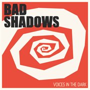 Voices in the dark cover image