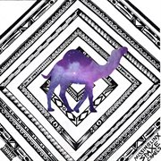 Spaxe camels cover image
