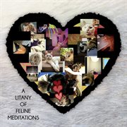 A litany of feline meditations cover image
