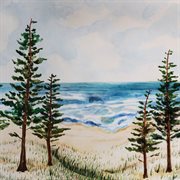 Ocean pines cover image