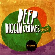 Deep diggin grooves cover image