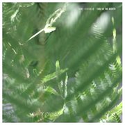 Yard of the month cover image