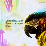 United beats of downtempo cover image