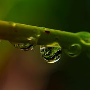 Acero de romero cover image